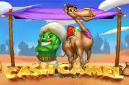 Cash-Camel
