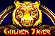 Golden-Tiger